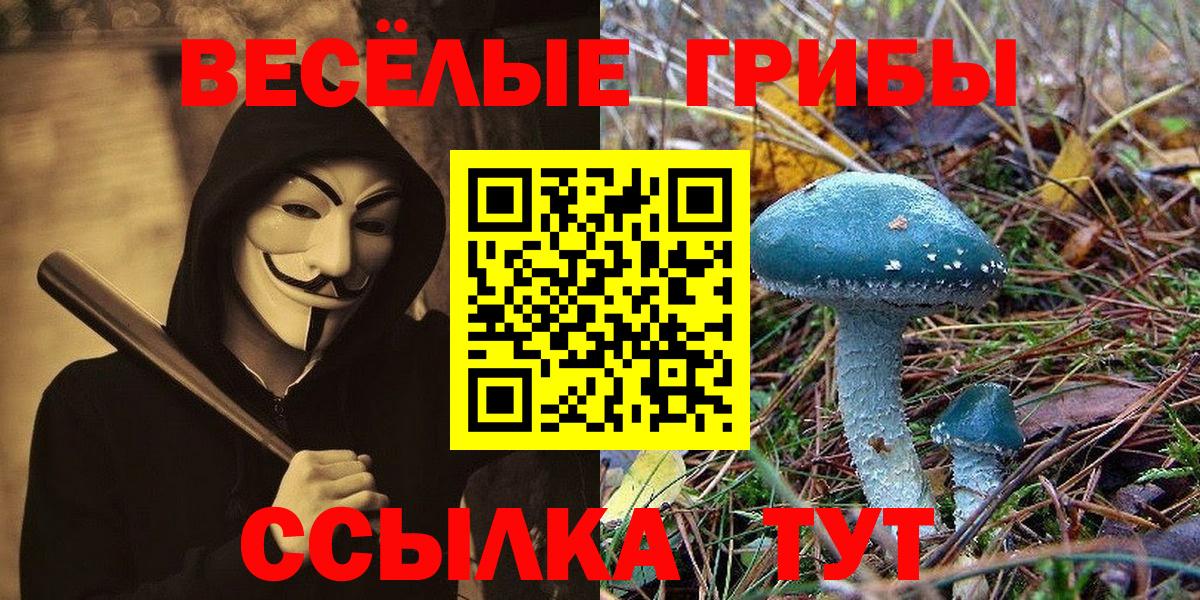 Псилоцибиновые грибы Psilocybe  Псилоцибиновые грибы GOLDEN TEACHER  Вход с VPN  Прокопьевск 